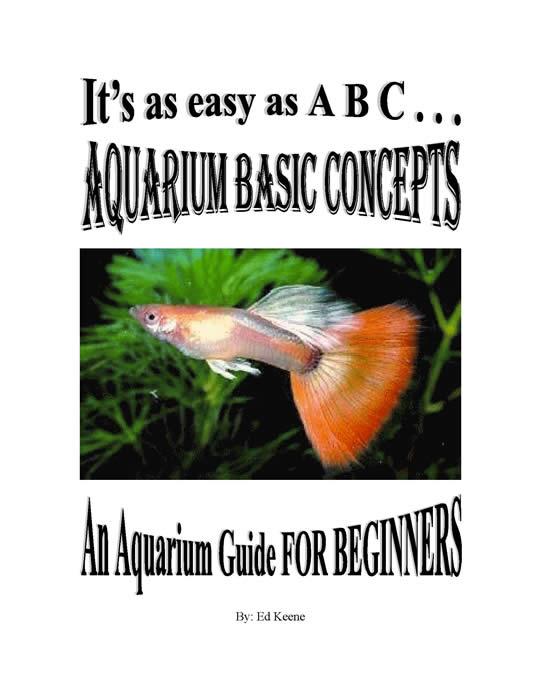 Aquarium Basic Concepts - An Aquarium Guide for Beginners